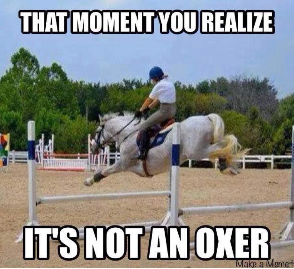 horse jumping memes