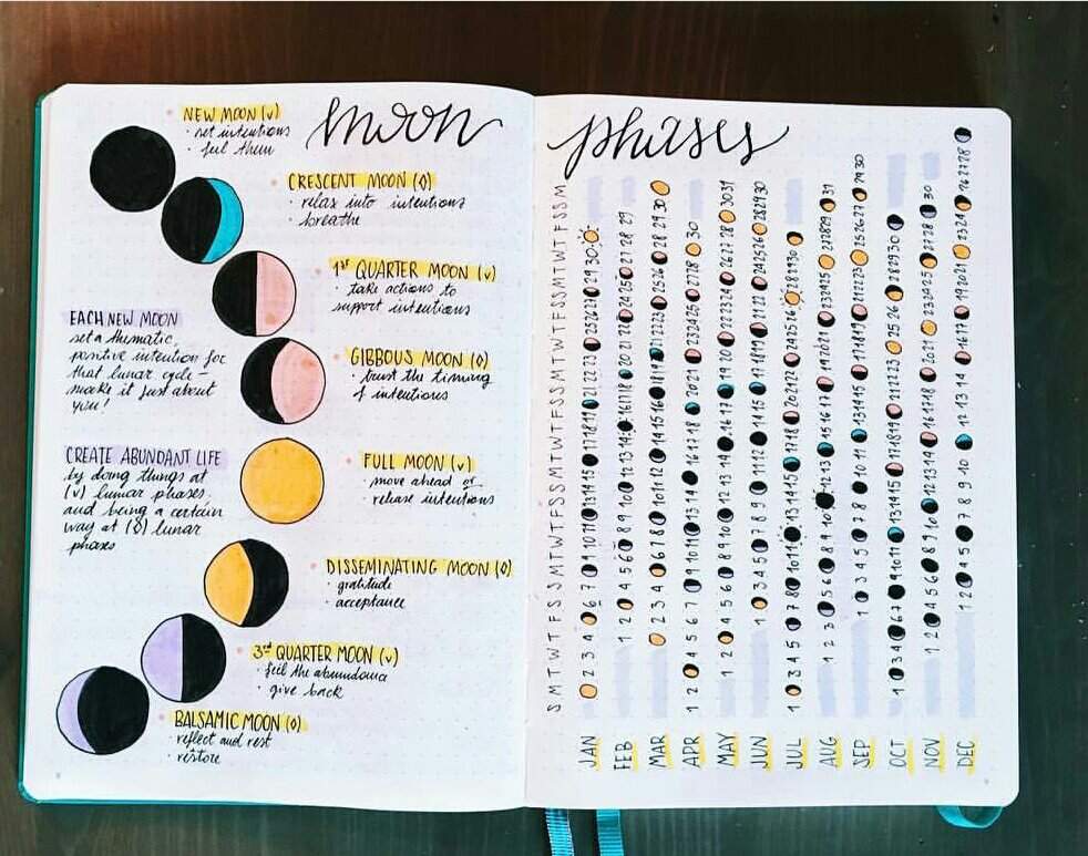 Moon Phases 🌒 Spread | Bullet Journal Amino
