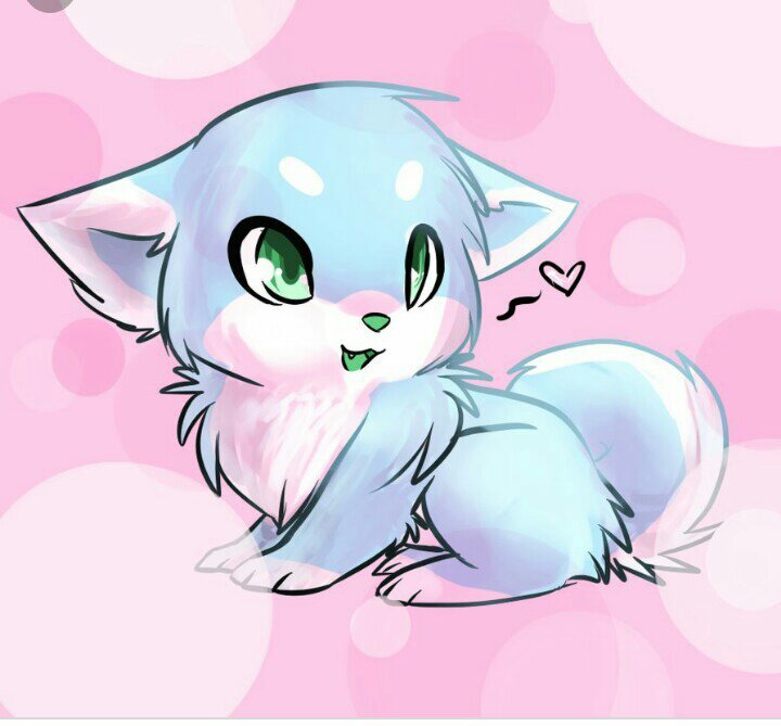 Anime Pets | Wiki | Аниме Amino Amino