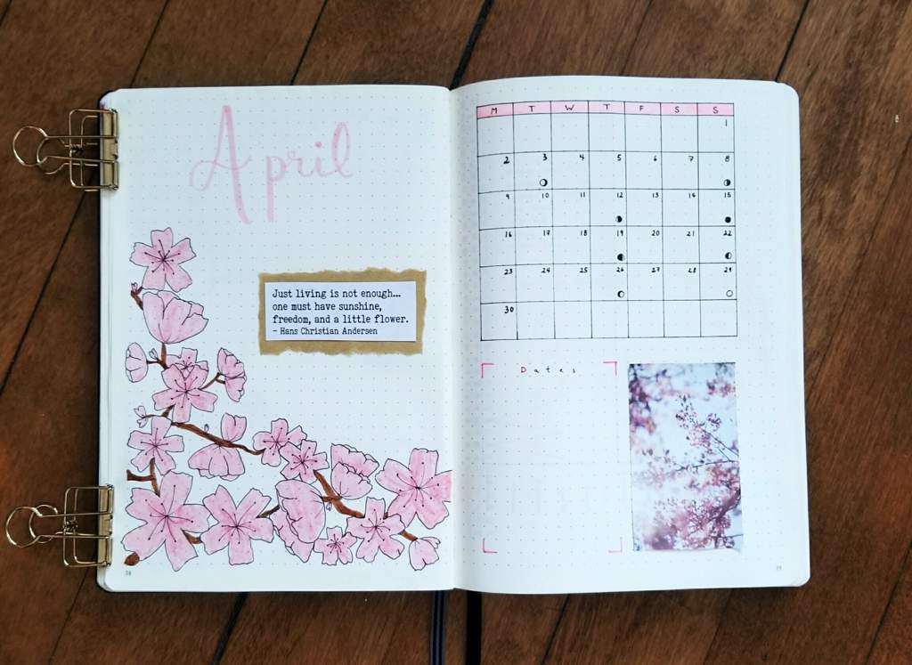 April Calendar & First Week | Bullet Journal Amino