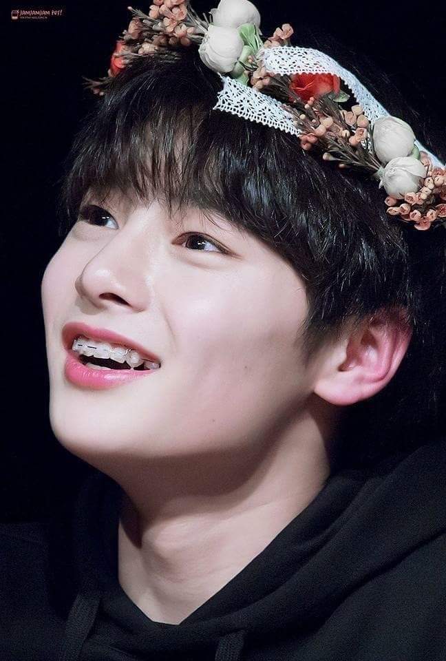 Jeongin :3 | Wiki | K-IDOLS {BXB} Amino