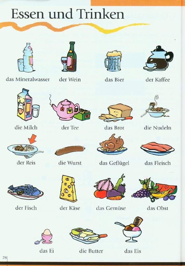 German Vocabulary: Food and Drinks | Language Exchange Amino