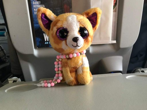 freckles beanie boo