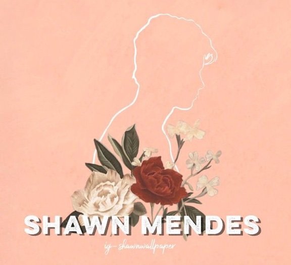 Shawn Mendes Album Cover Flowers He made an amazing and unique album filled with masterpieces #wonder. shawn mendes album cover flowers
