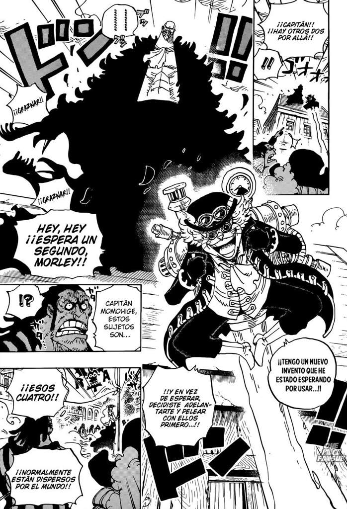 Manga One Piece 904 One Piece Amino