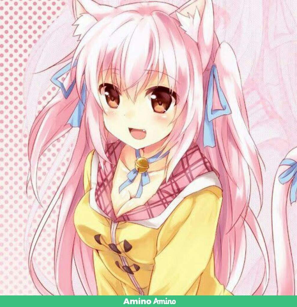 Neko | Wiki | Neko Amino