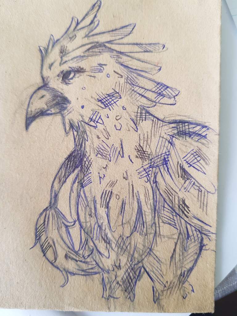 Hippogriff || traditional doodle | Harry Potter Amino