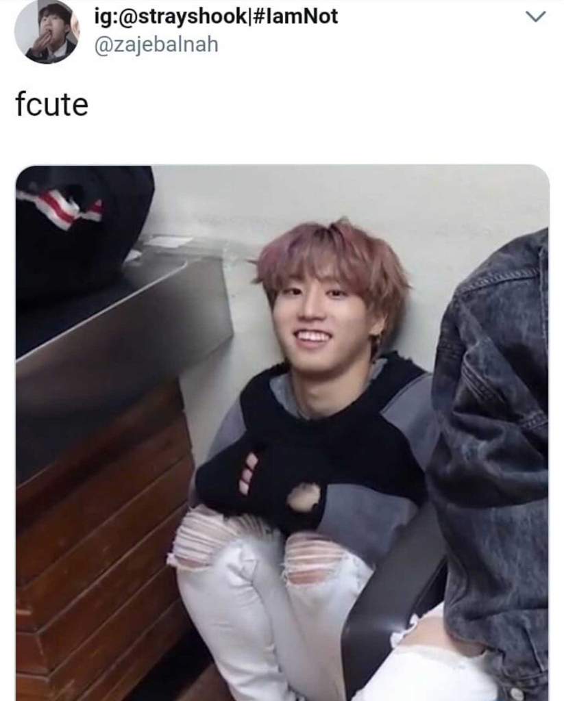 Memes Pt3 Stray Kids Amino