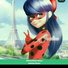 amino-Ladybug-498c126e