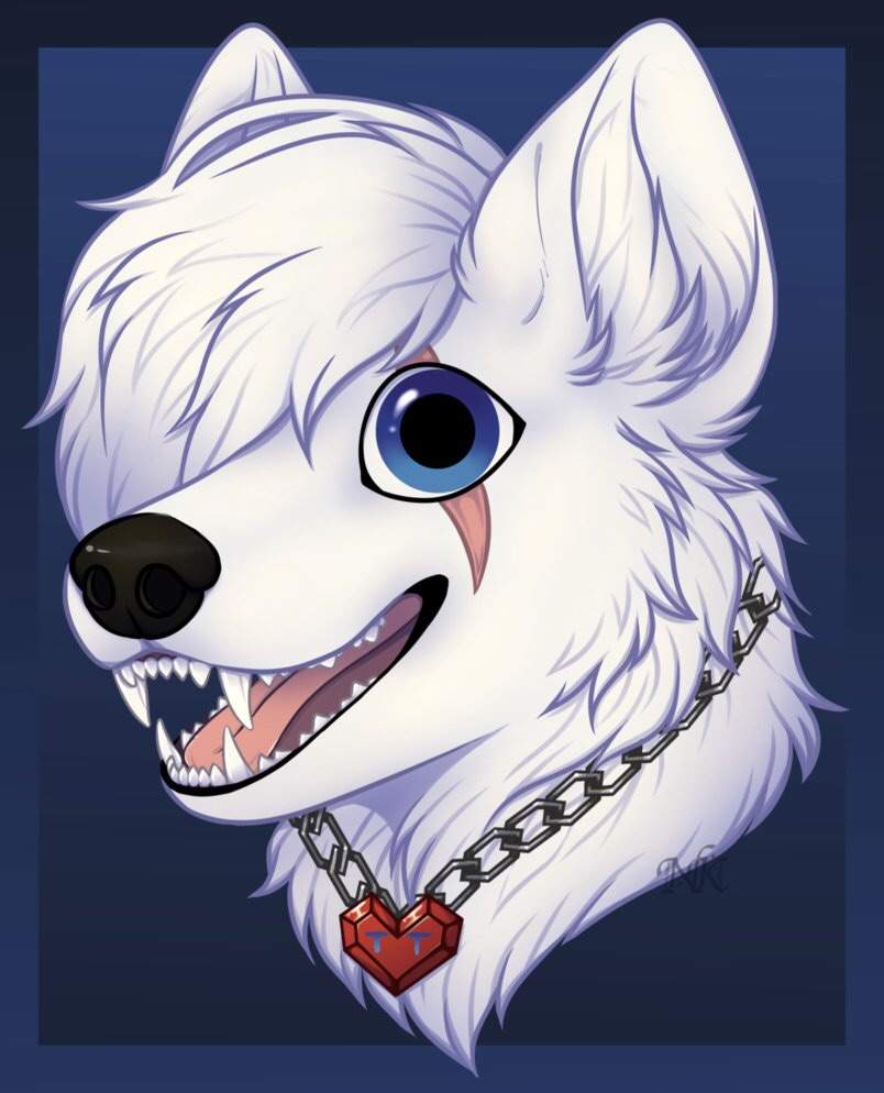 Wolfy Wiki Furry Amino