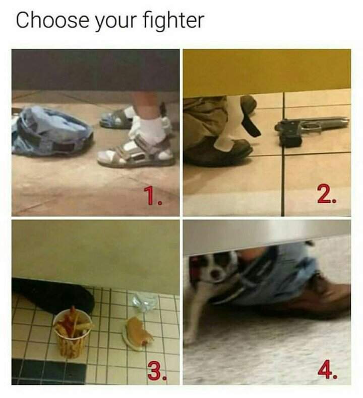 Choose Your Fighter Dank Memes Amino