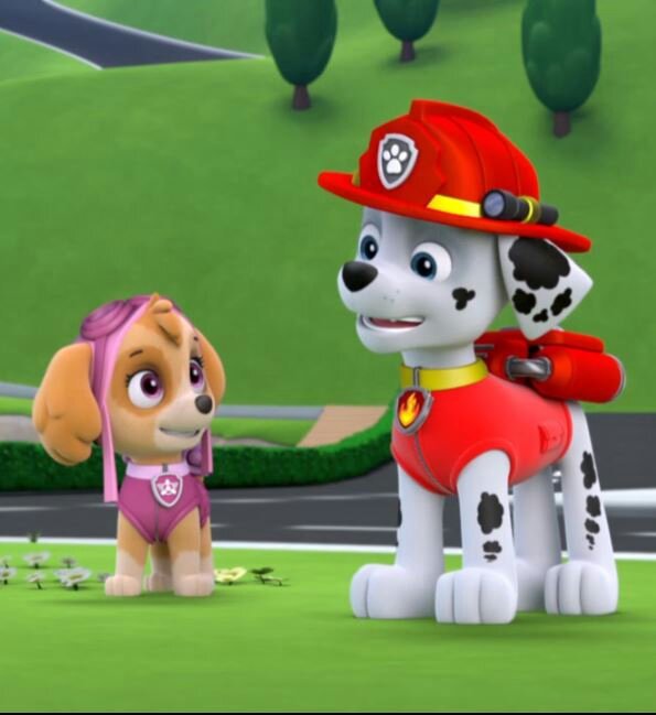 Paw patrol rules | Wiki | Paw Patrol World Amino