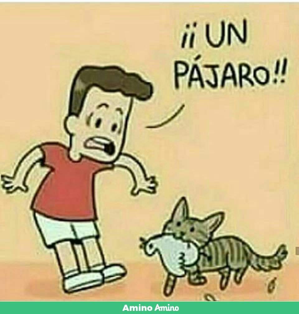 Otra Historia Guerra De Memes Amino Amino