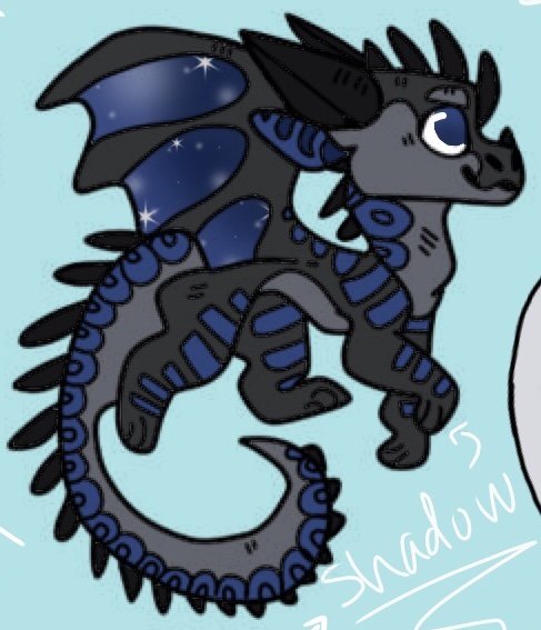 Shadow | Wiki | Wings Of Fire Amino