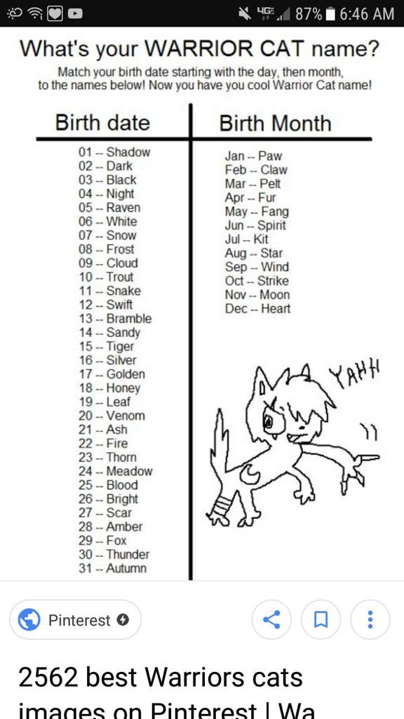 Cool Names For Warrior Cats