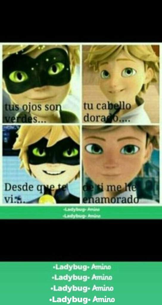 Memes Wiki •miraculous Ladybug Español• Amino