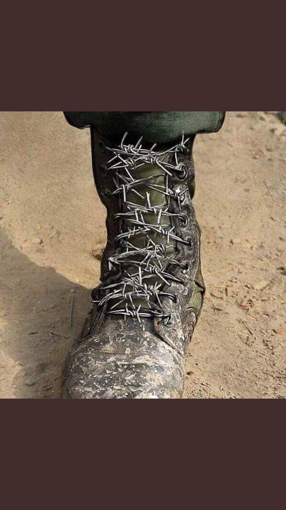 metal shoe laces