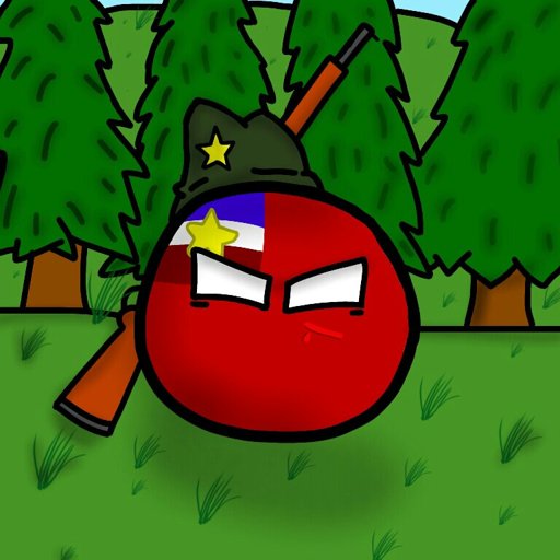 New profile picture #2 | Polandball Amino