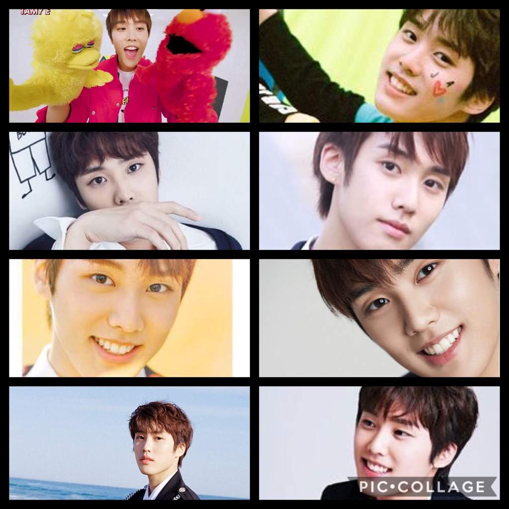 An (Un)Helpful Guide To The Boyz | THE BOYZ AMINO Amino