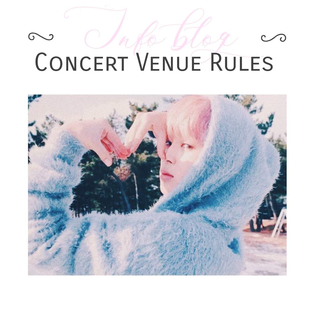 Concert Venue Rules Info Tips Army S Amino