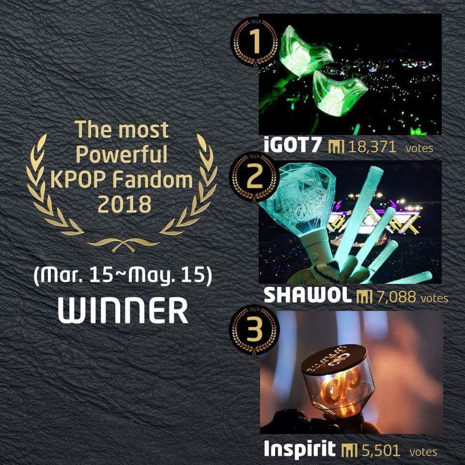 📌NameSNS Poll Result📌 🏆The Most-Powerful-KPOP-Fandom Boy Group 2018 #1
