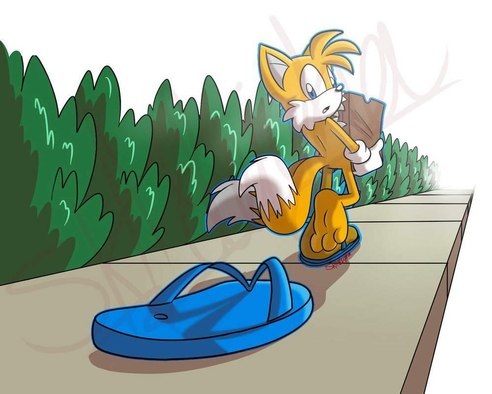 Miles Tails Prower By Skaleigha Sonic The Hedgehog Amino 1192