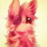 amino-Mangle the fox-990adeeb