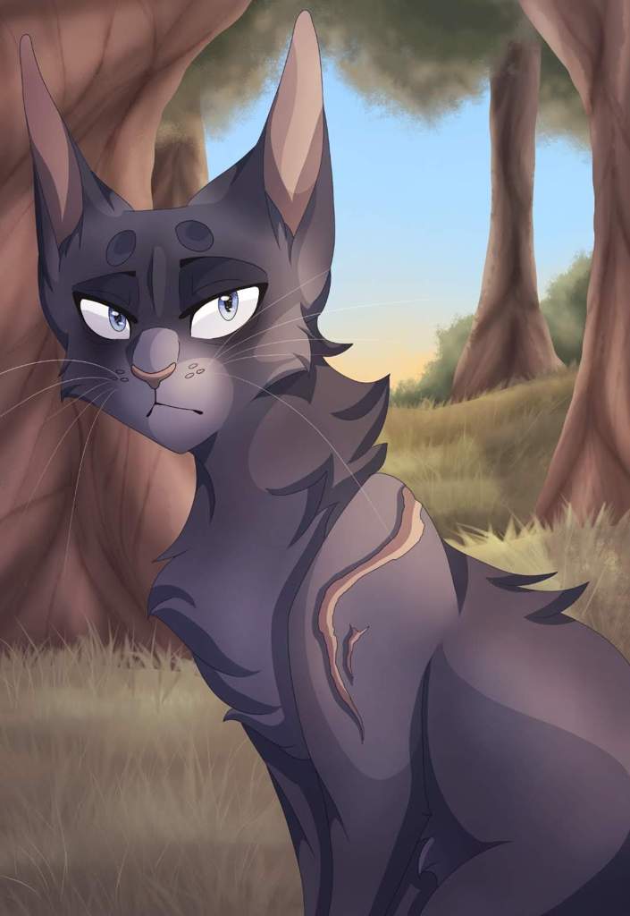 warriorcats.de - Photos | Facebook