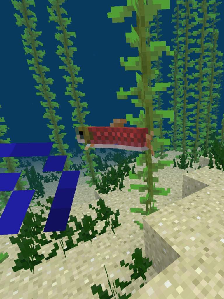 Update Aquatic | Facts and Pictures | Minecraft Amino