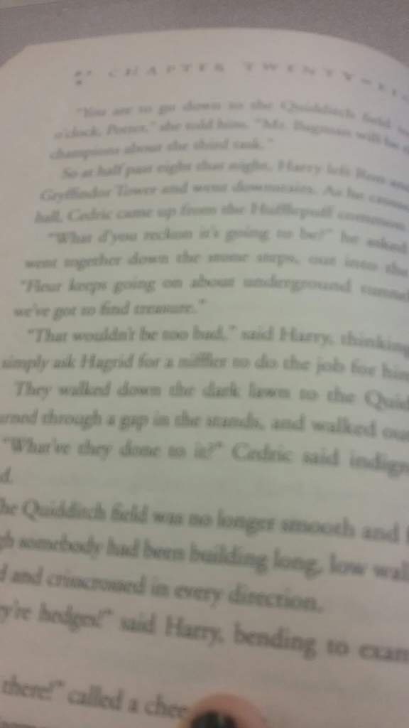 harry potter and the goblet of fire book pages