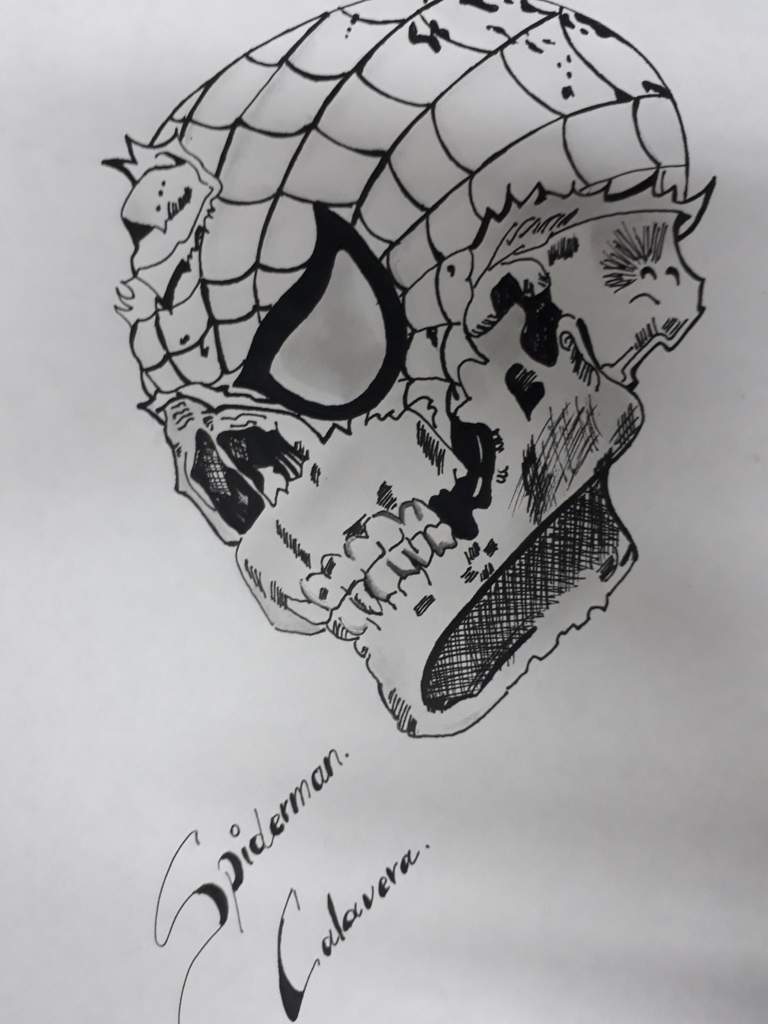 Spiderman Calavera | •Arte Amino• Amino