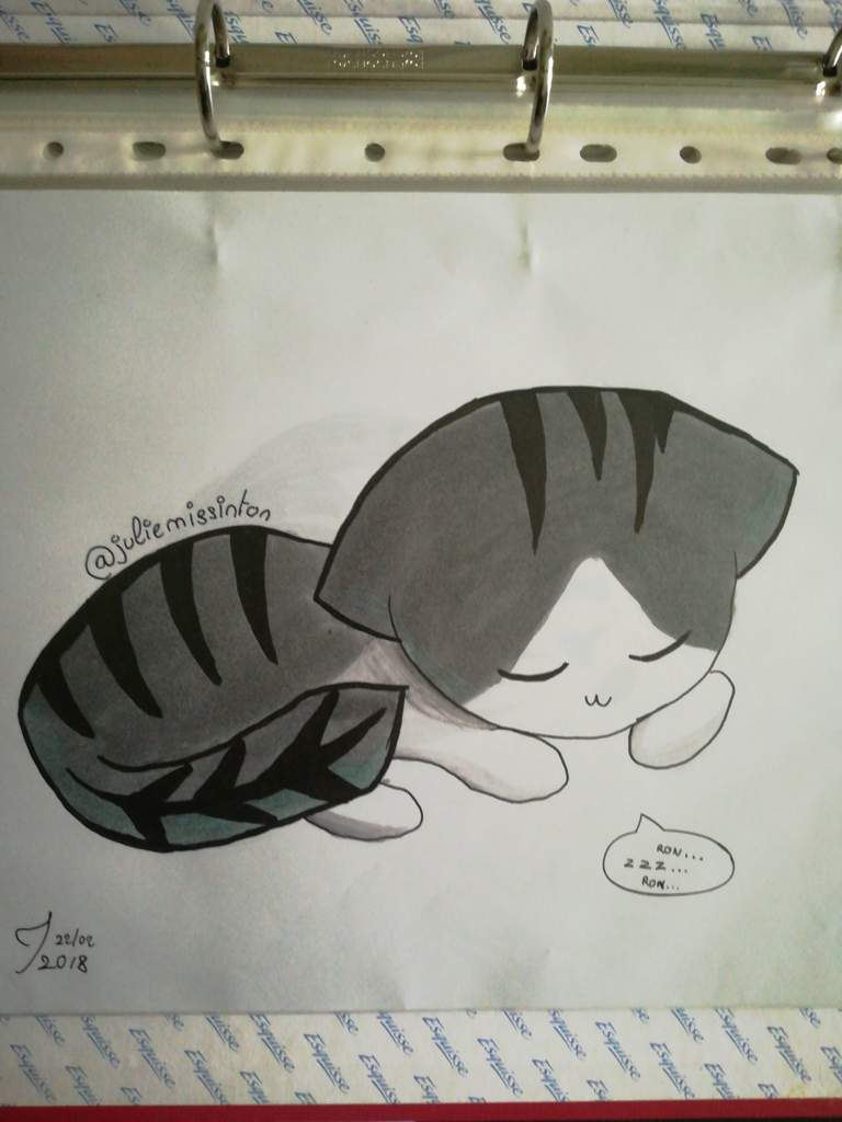 petit chat dessin anime