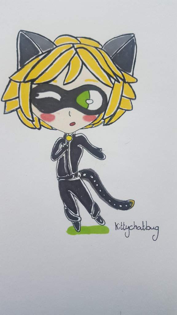 Chat Noir Chibi Miraculous Amino