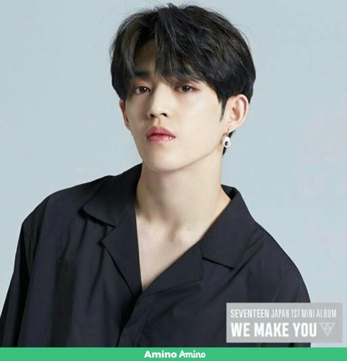 Choi Sung cheol | Wiki | Seventeen Amino Amino