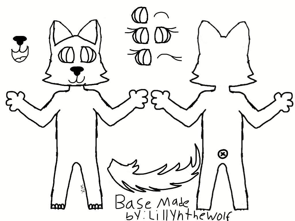 Featured image of post Base Furry Wolf Ref Sheet