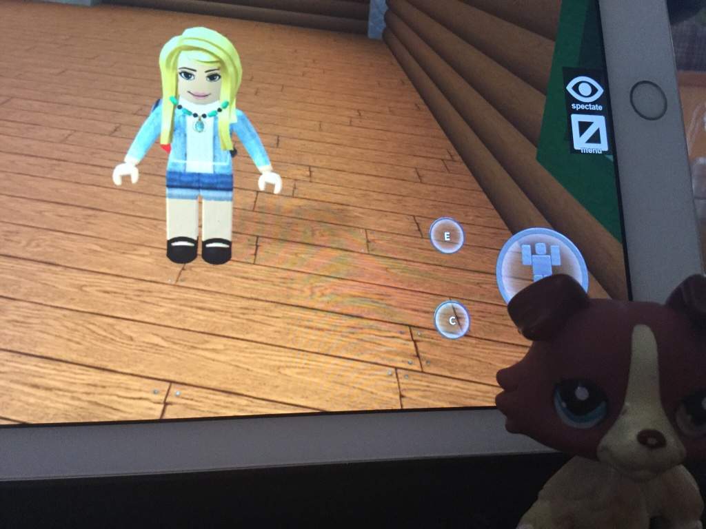 Playing Roblox Plz Add Me Lps Amino - i lps roblox