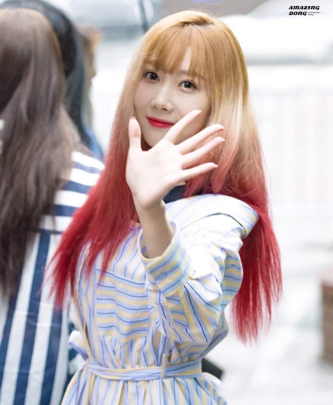 handong (dreamcatcher) | K-Pop Amino