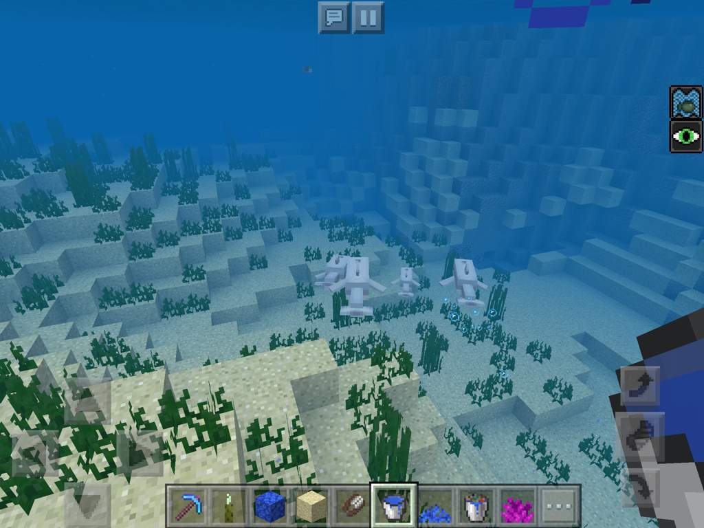 How To Tame Dolphins In Minecraft