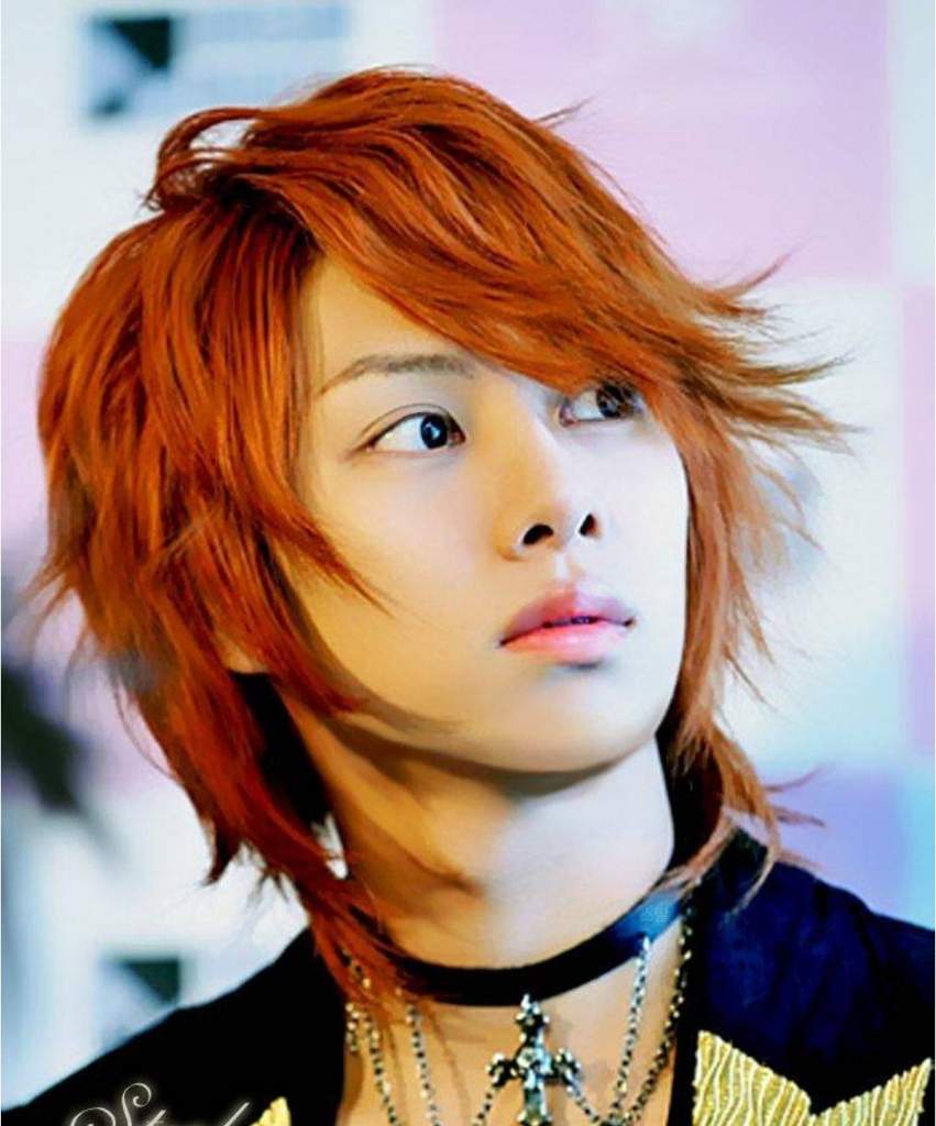 Kim Heechul | Wiki | 「K~Idol City」 Amino