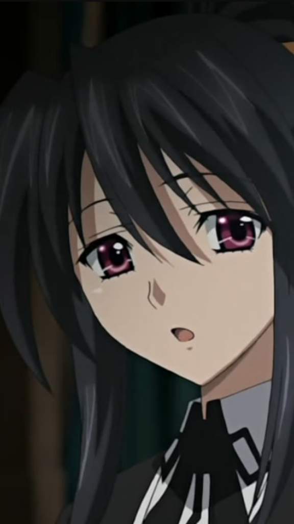 Akeno Himejima | Wiki | The Waifu Republic Amino