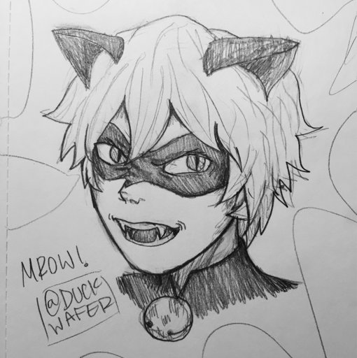 Chat Noir Outline Plan Design 3 (By Kim1509) | Miraculous Amino