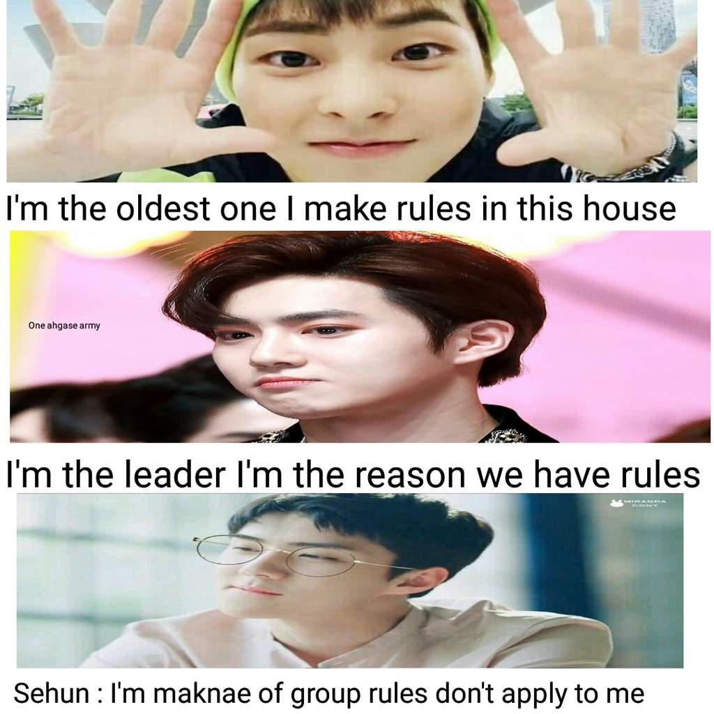 MEME MONDAY Exo Ls Amino