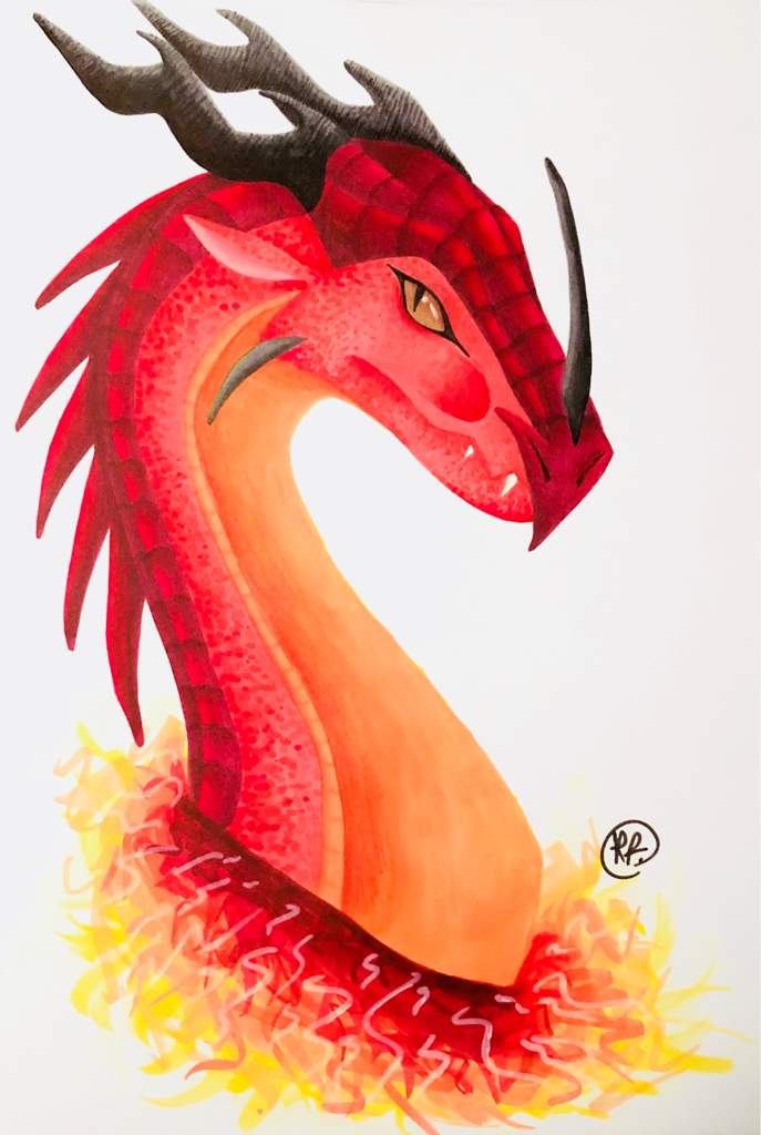 The 7 Pyrrhia Tribes Wings Of Fire Amino