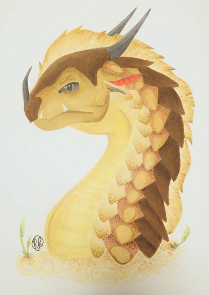 The 7 Pyrrhia Tribes Wings Of Fire Amino