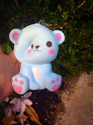 Latest Squishy Love Amino - 