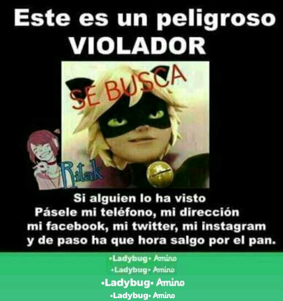 Ms Memes Miraculous Ladybug Espaol Amino