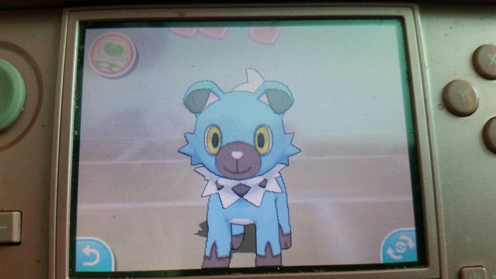 Shiny Own Tempo Rockruff Shiny Pokemon Amino Amino