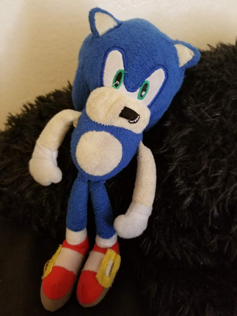 My pulshes B - day he 12 and im 14 | Sonic the Hedgehog! Amino