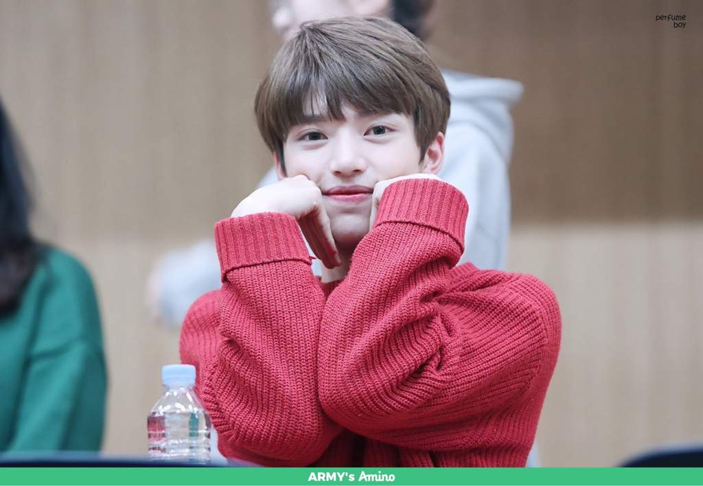 14u wiki k pop boy groups amino 14u wiki k pop boy groups amino