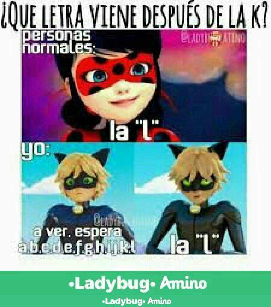 Ms Memes Miraculous Ladybug Espaol Amino